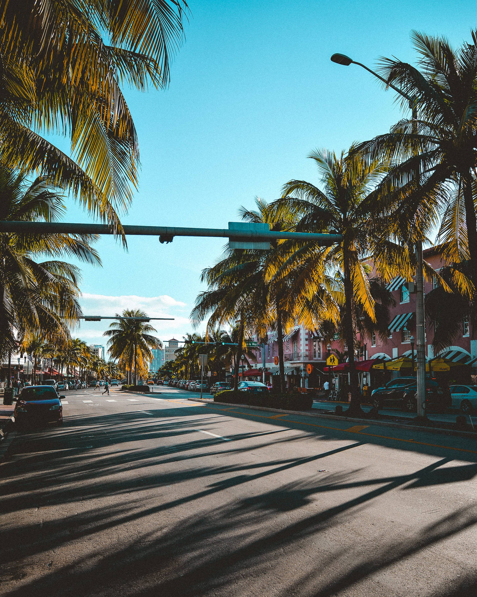 A Golden Sunset Beneath The Tropic Palms Background