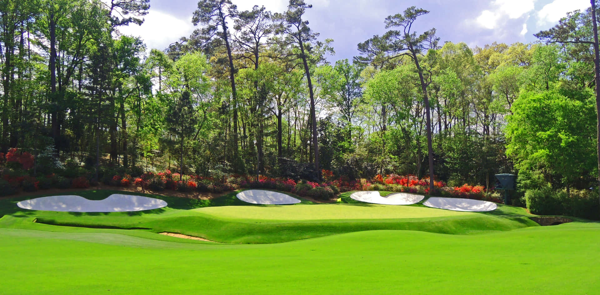 A Golf Course With Green Grass And Trees Background