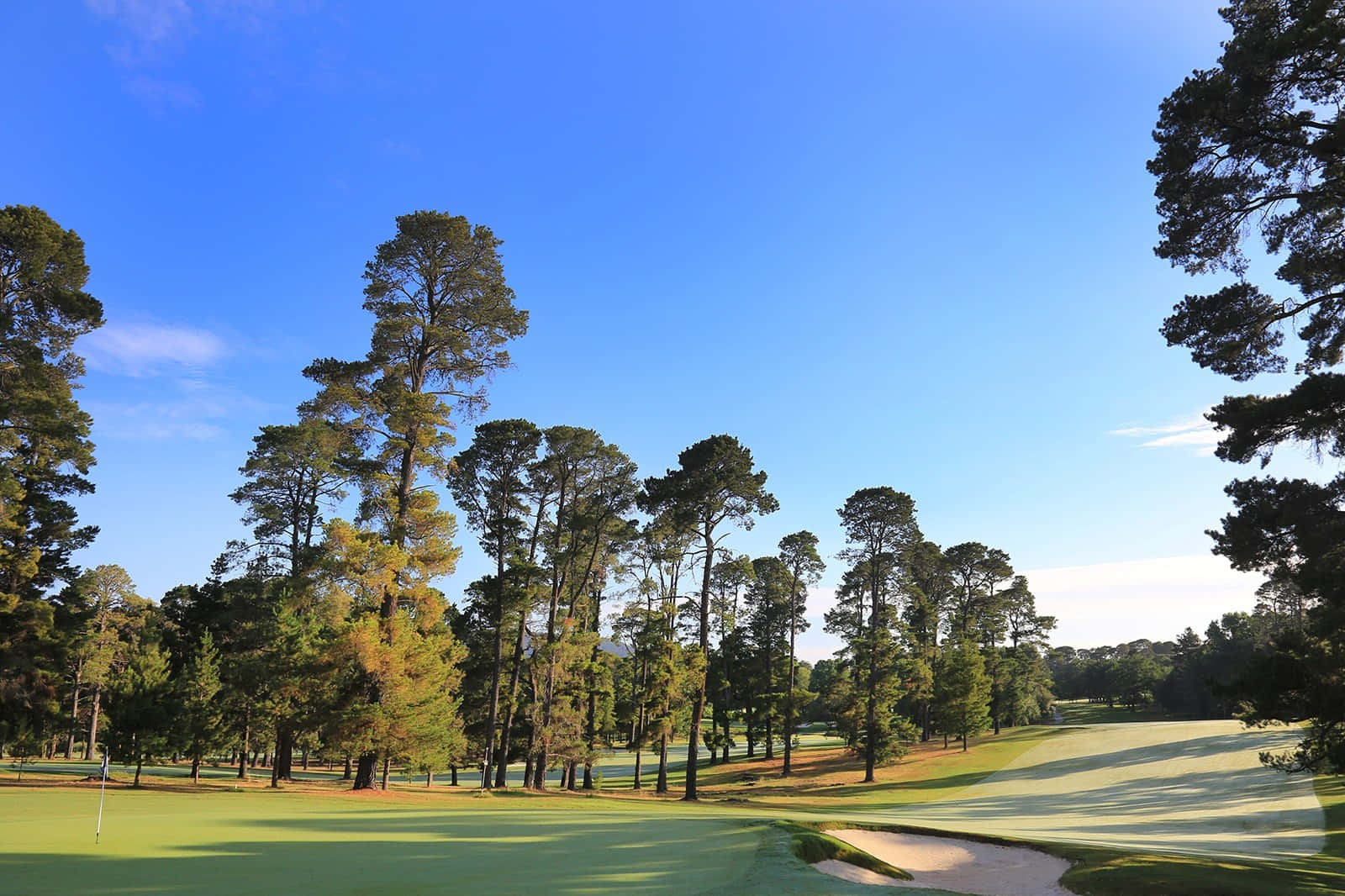 A Golf Course With Trees And A Green Sand Bunker Background