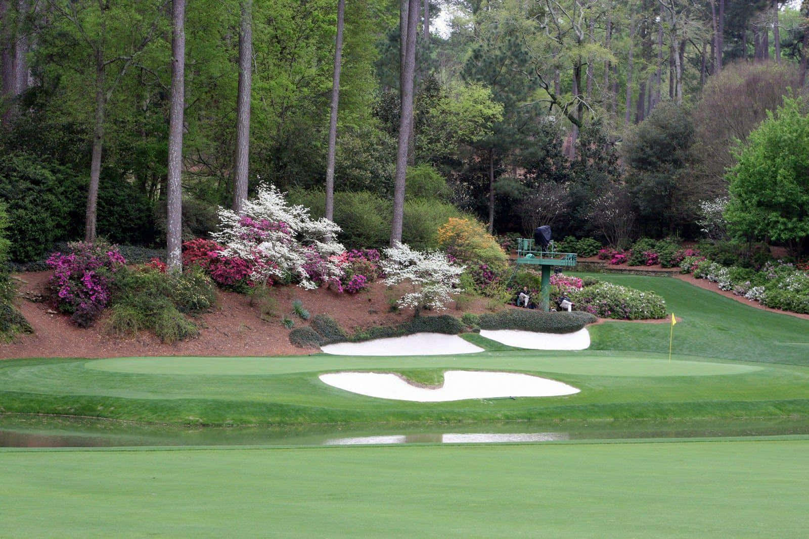 A Golf Course With Trees And Bushes Background