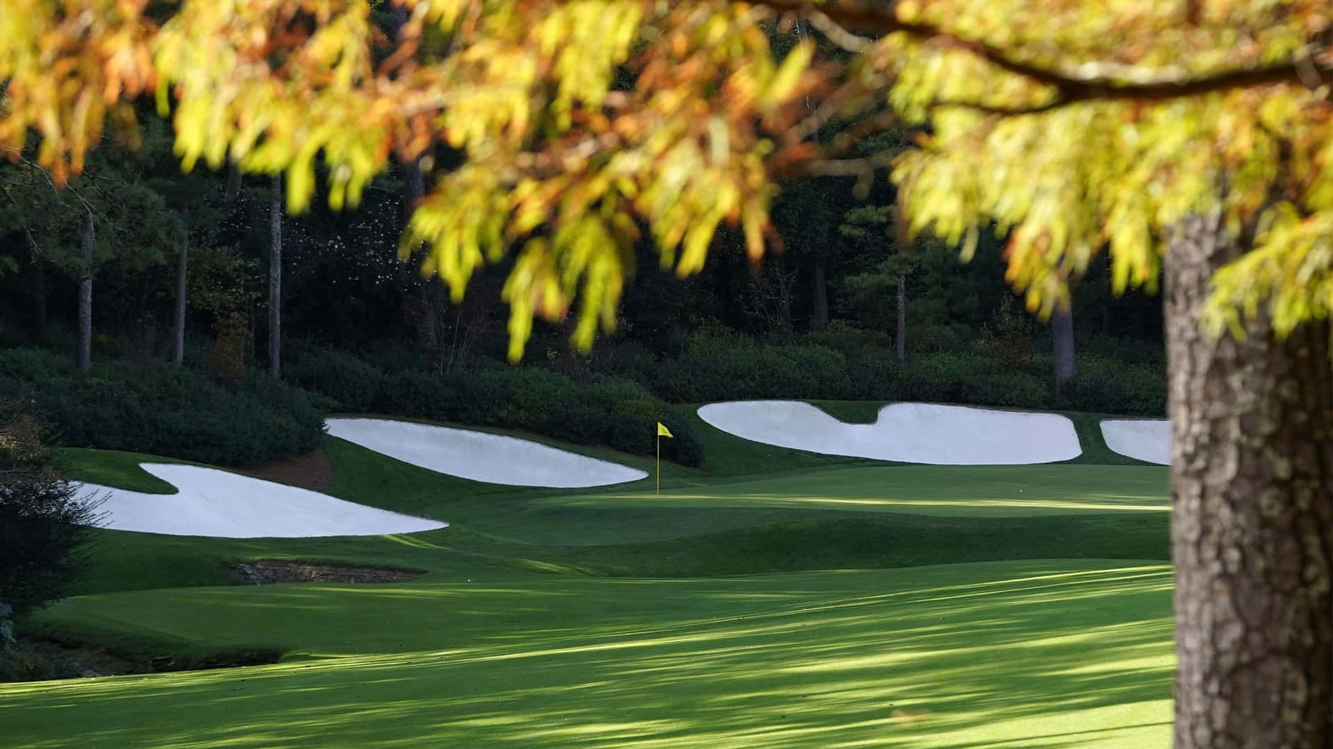 A Golf Course With Trees And Green Grass Background