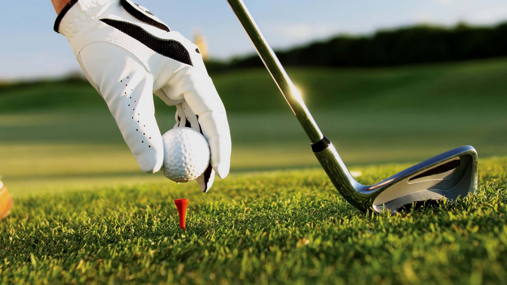 A Golfer Sets Up A Shot On A Sunny Day Background