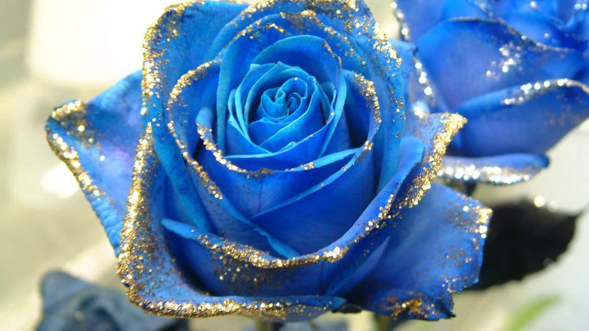 A Gorgeous Bouquet Of Delicate Blue Roses. Background