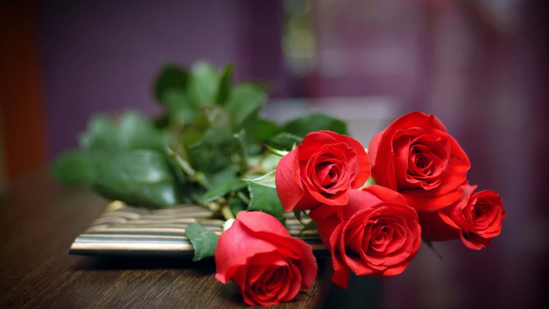 A Gorgeous Rose Against A Cool Blue Background Background