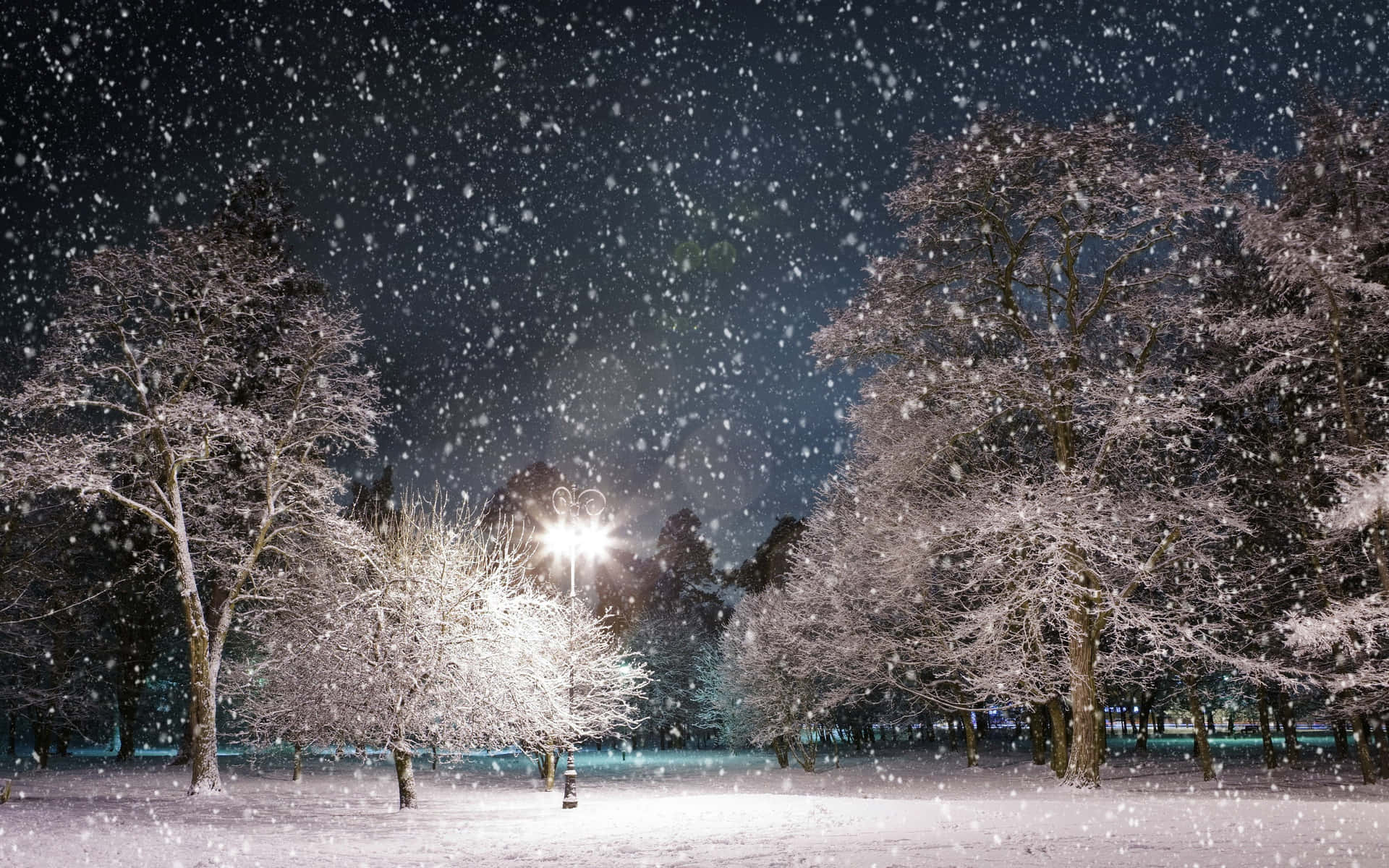 A Gorgeous Snowfall Sparkling Against A Backdrop Of Frosted Trees. Background