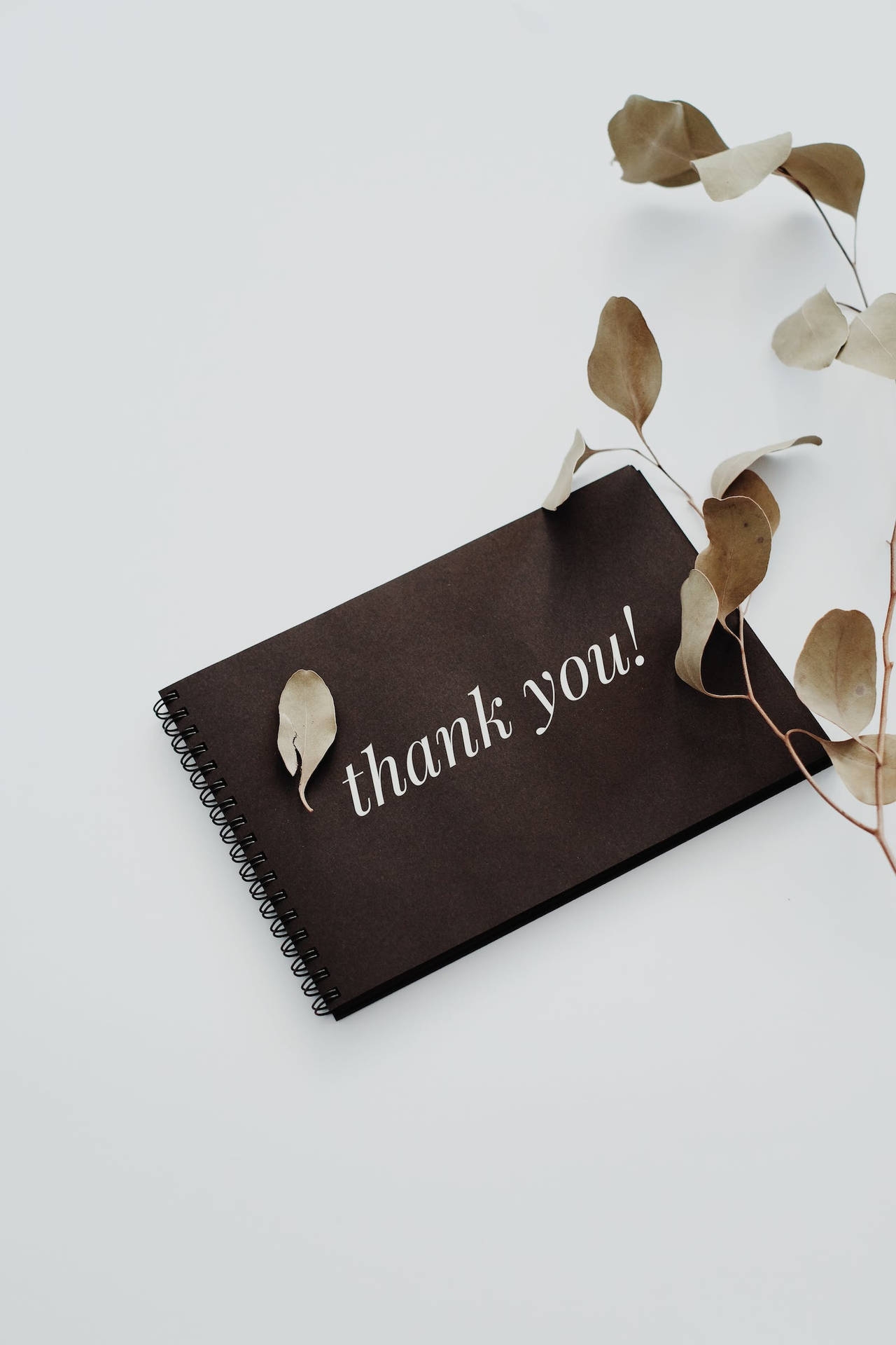 A Gratitude Gesture - An Aesthetic Thank You Notebook Background