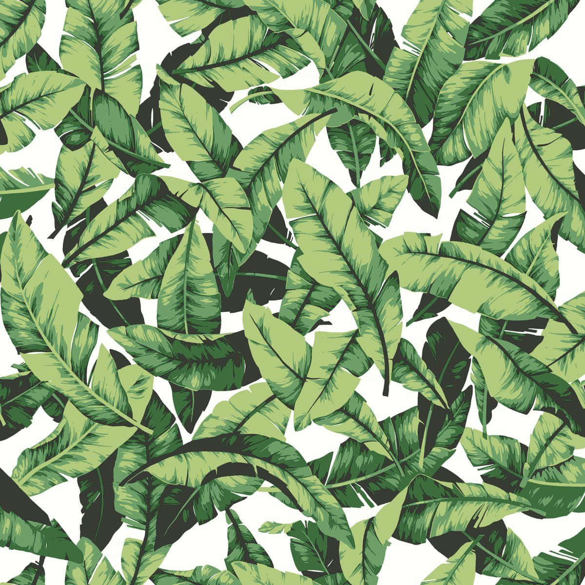 A Green And Black Pattern Of Leaves Background