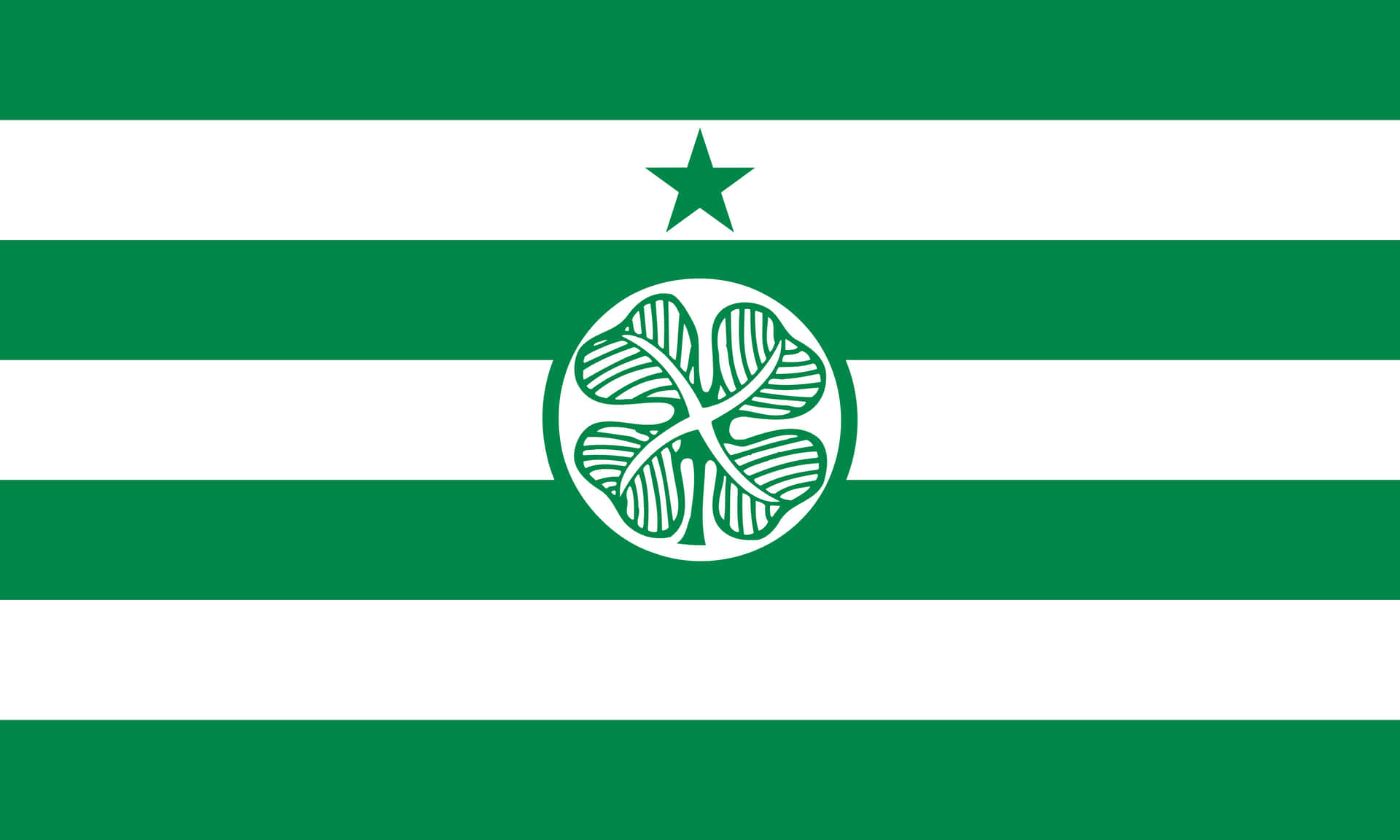 A Green And White Flag With A Star In The Middle Background