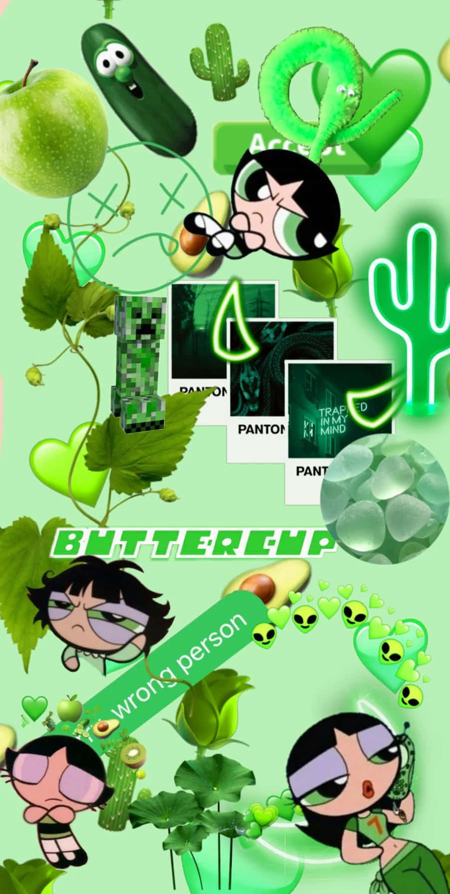 A Green Background With Various Green Objects Background