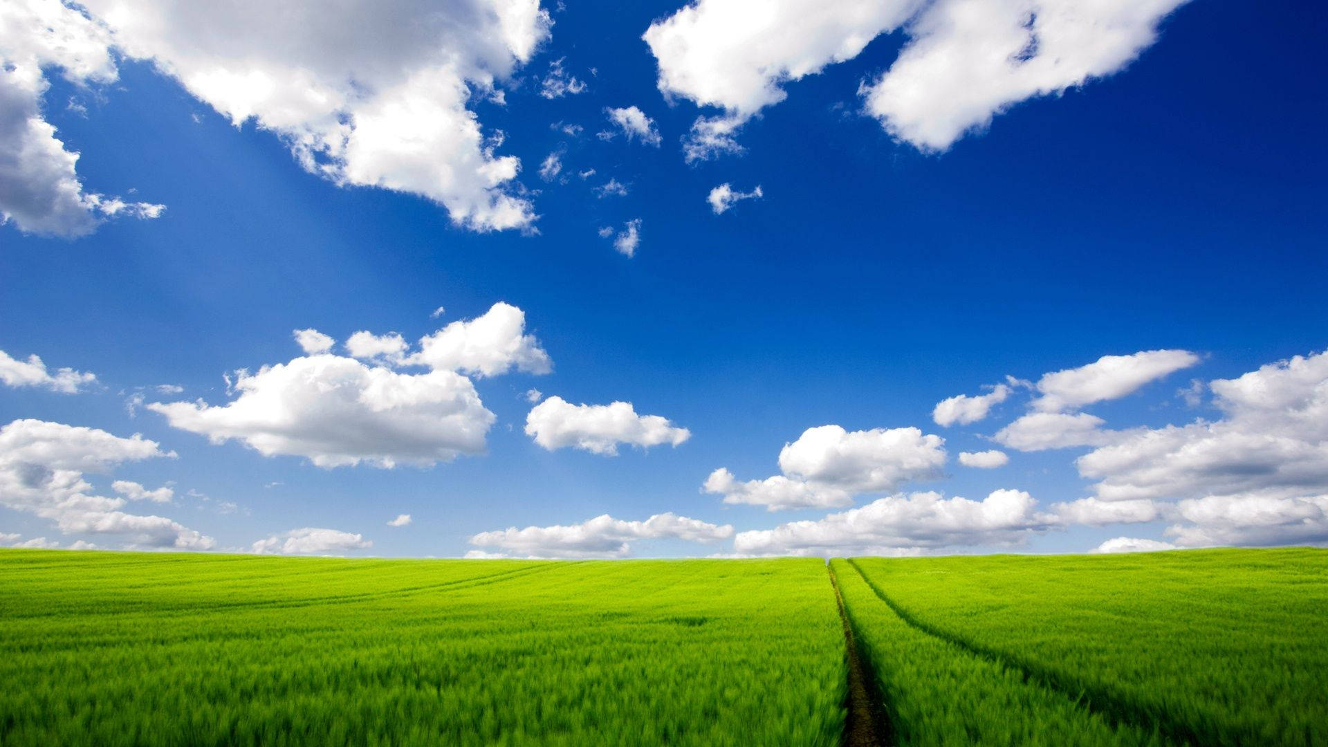 A Green Field With A Path And Clouds In The Sky Background