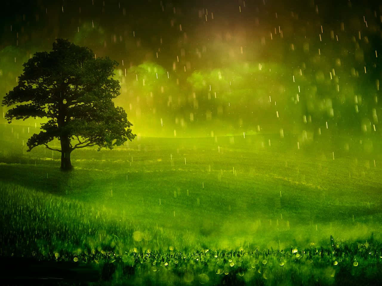 A Green Field With A Tree In The Rain Background