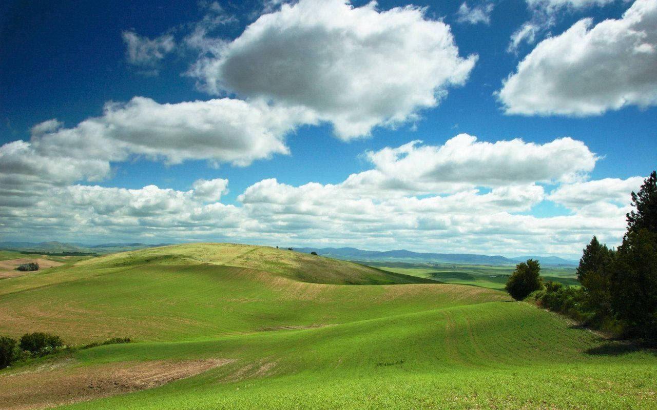 A Green Field With Clouds And Blue Sky Background