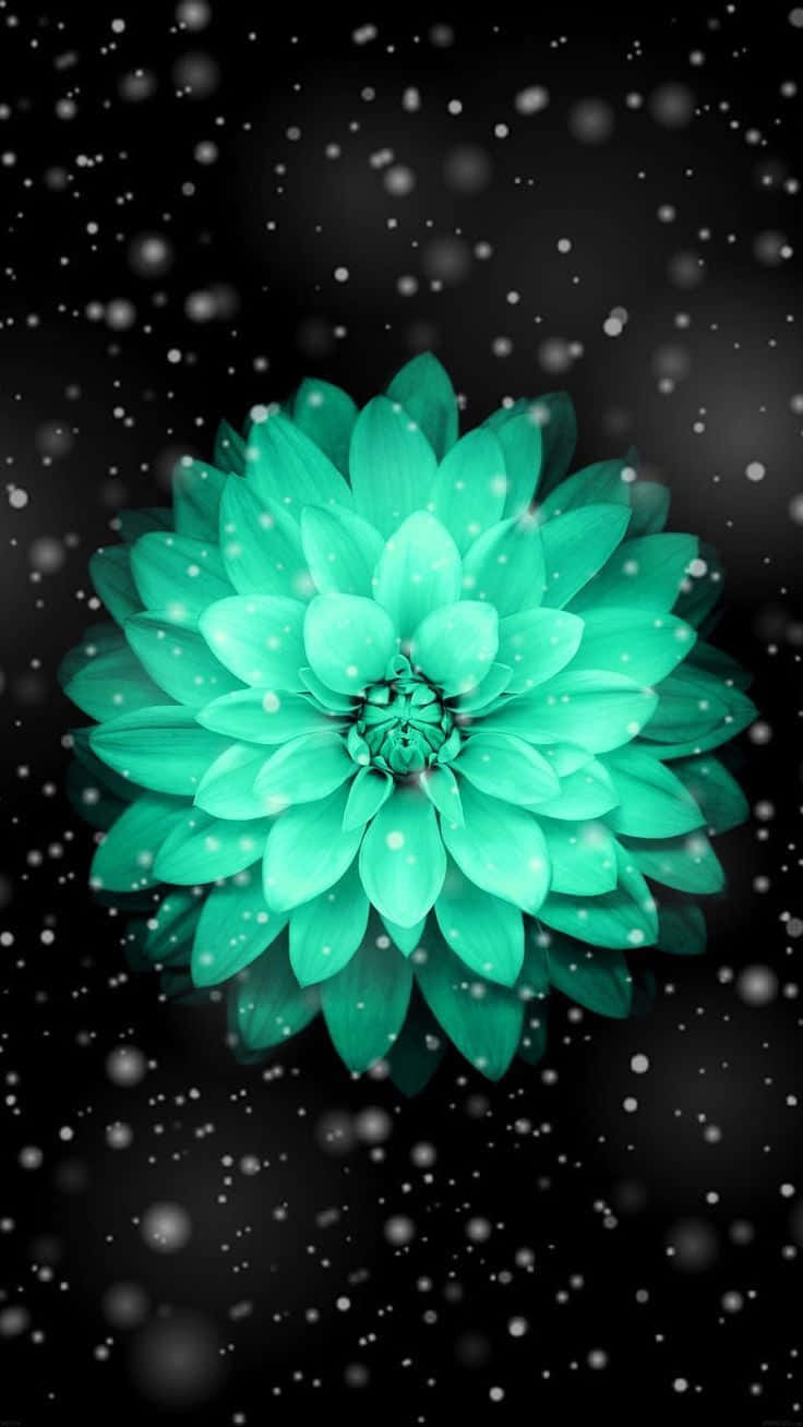 A Green Flower With Snow Falling On It Background