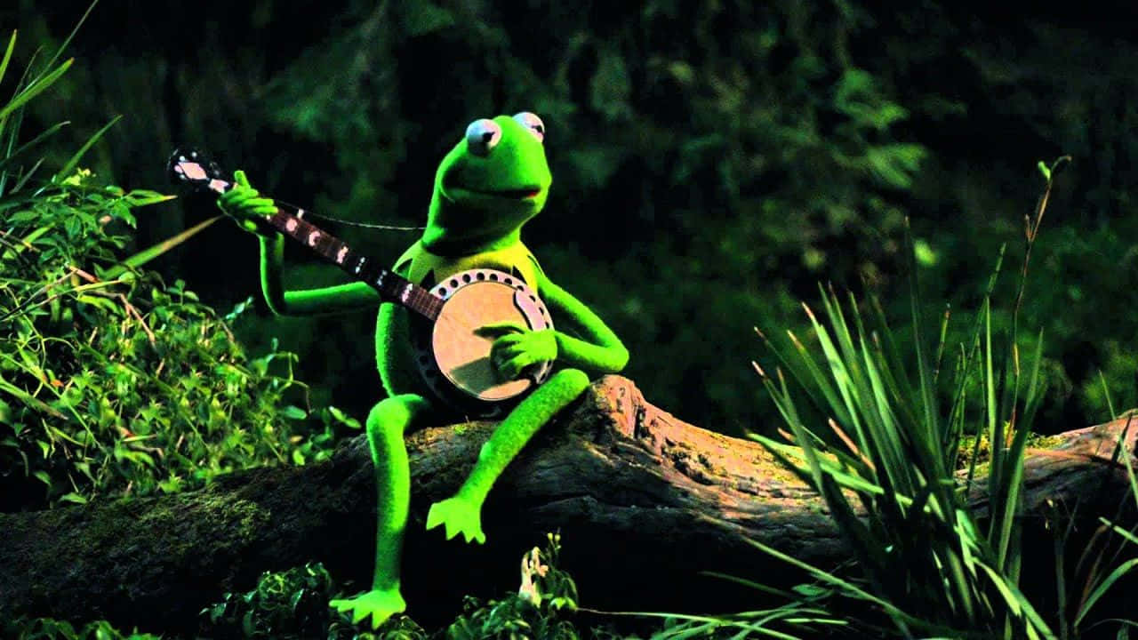 A Green Frog Is Playing A Banjo On A Log Background