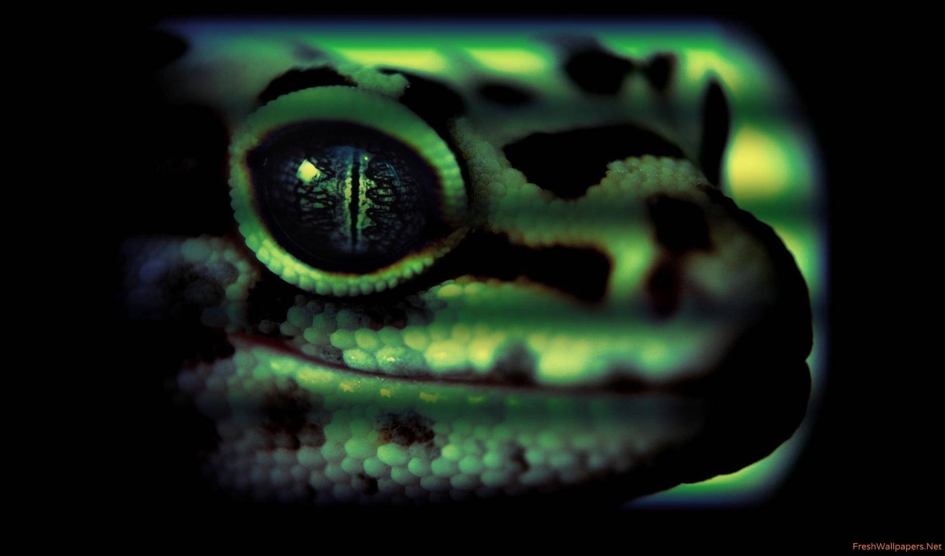 A Green Gecko With A Glowing Eye Background