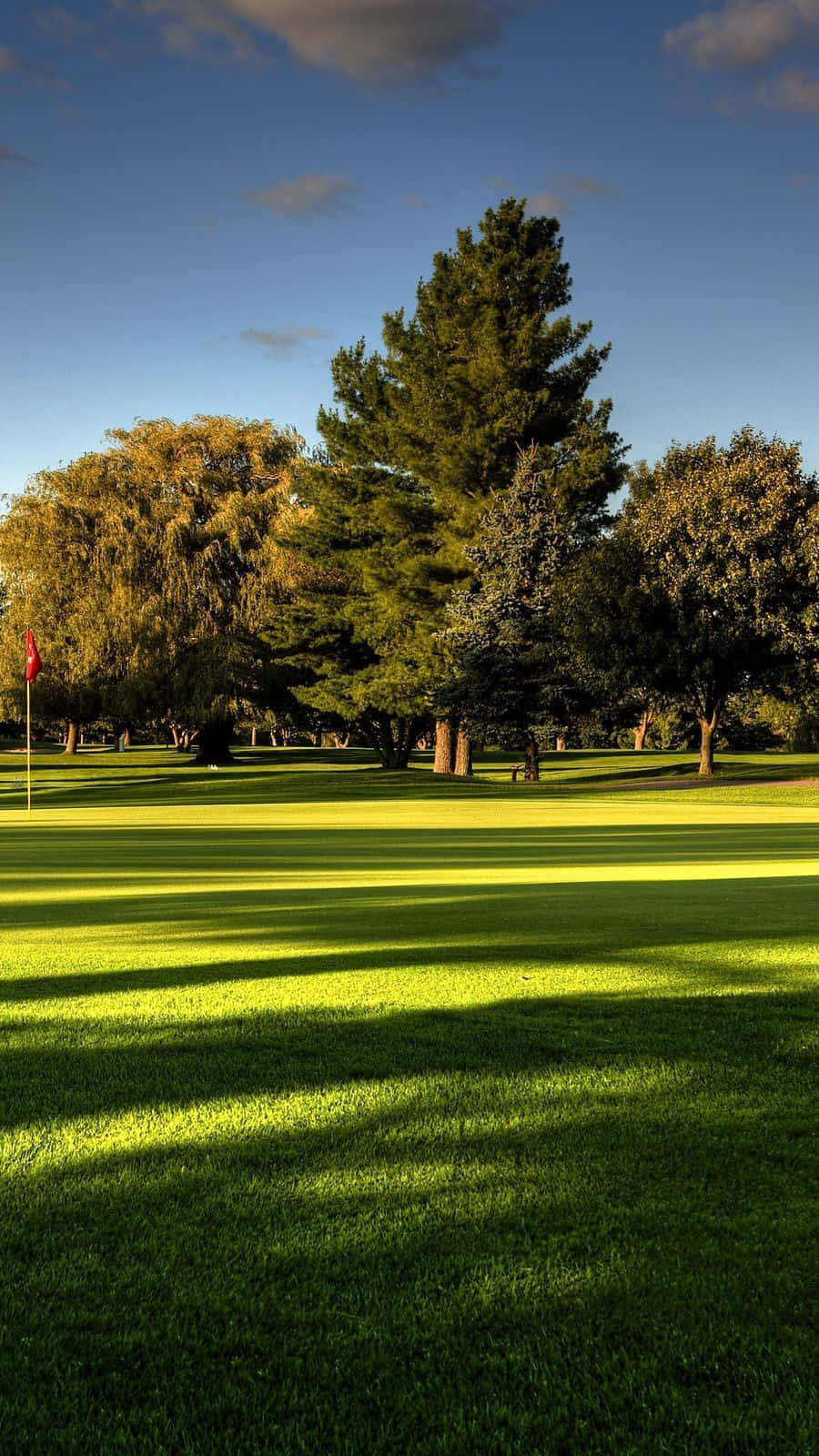 A Green Golf Course With Trees And Grass Background