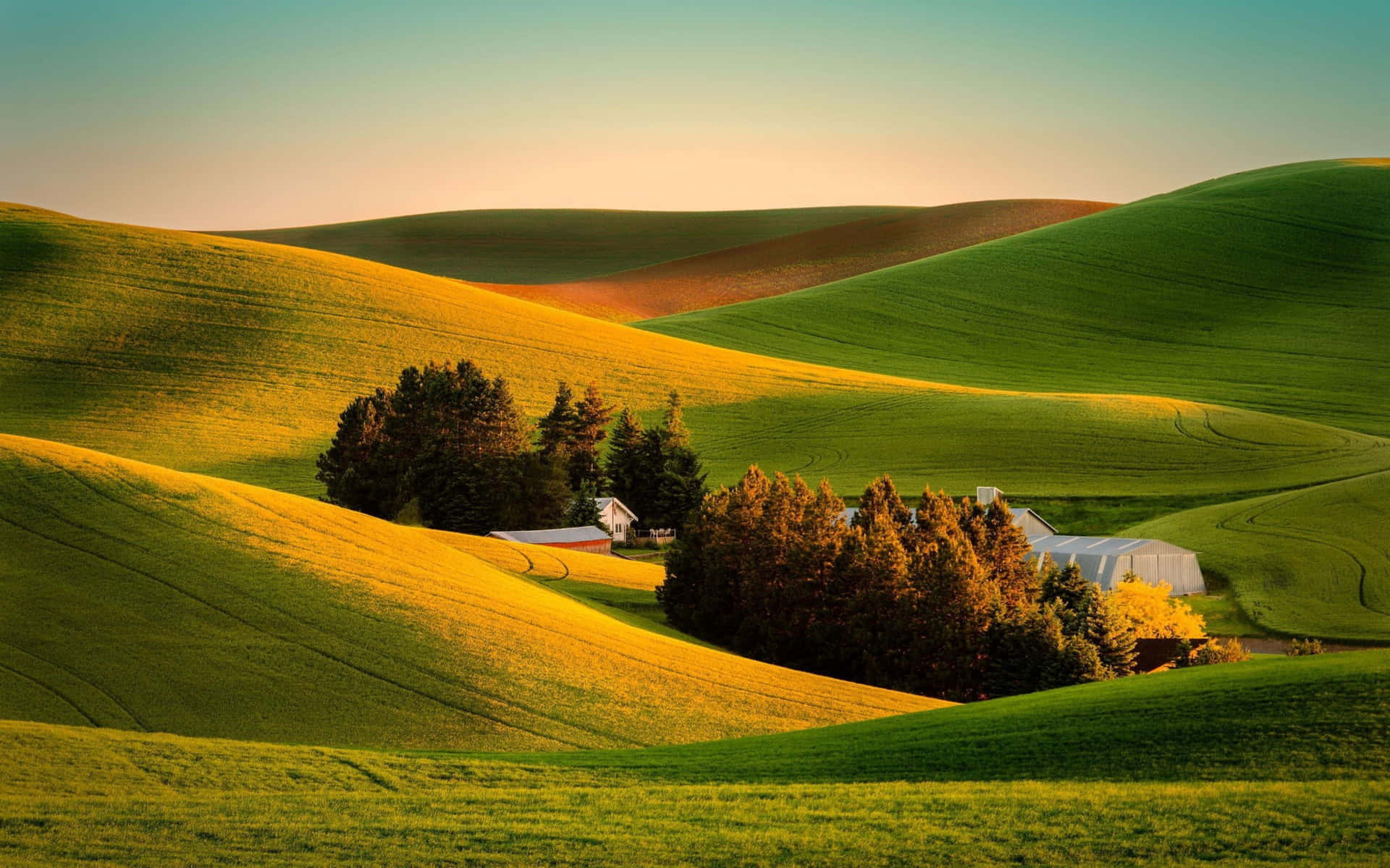 A Green Hill With Trees And A Farm Background