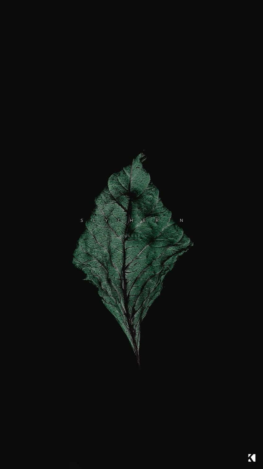 A Green Leaf On A Black Background Background