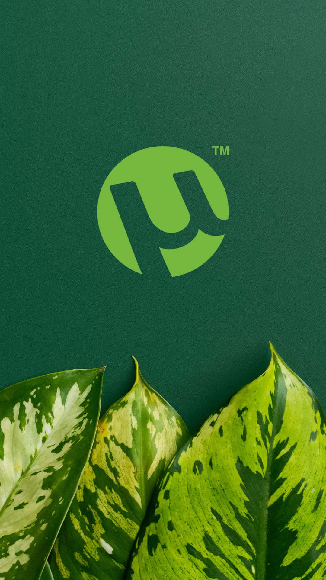 A Green Leaf With The Logo Of Ubuntu Background