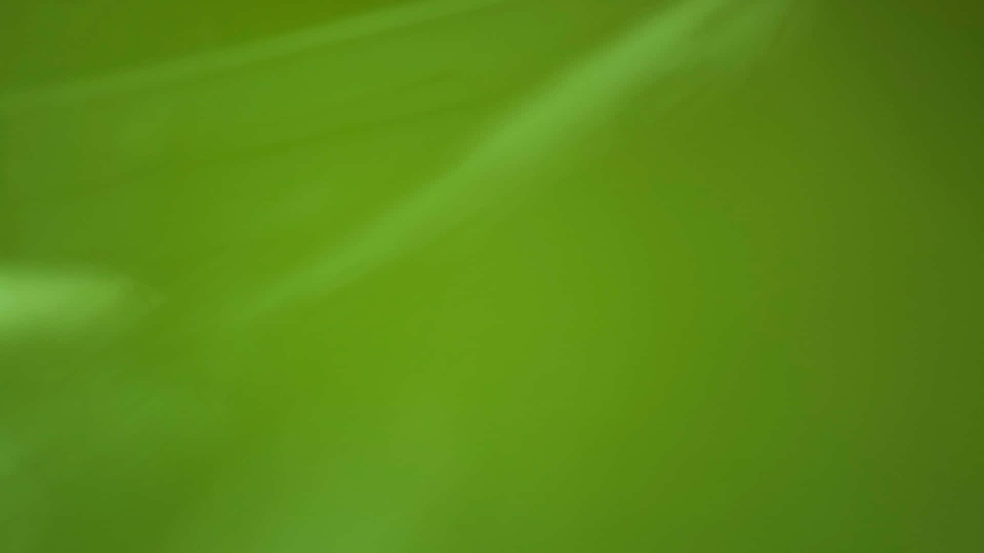 A Green Leaf Background