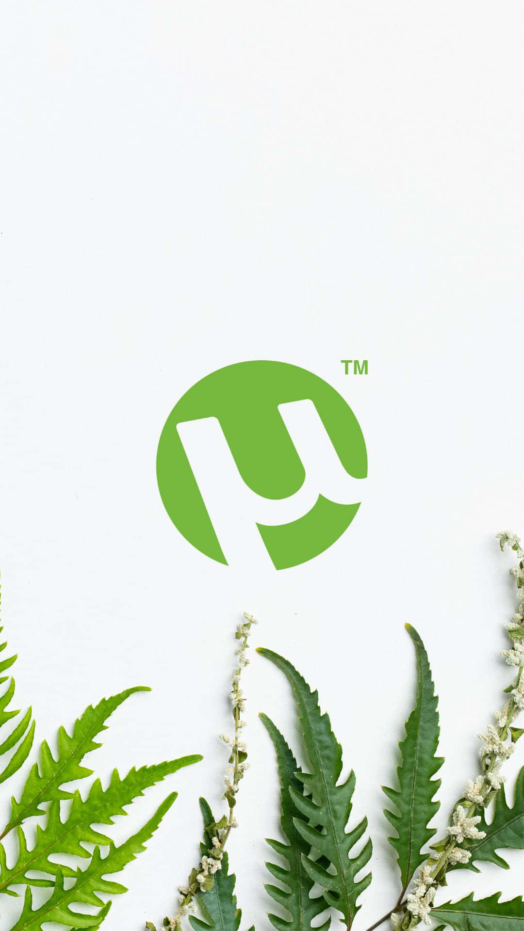 A Green Logo With Ferns And Leaves Background