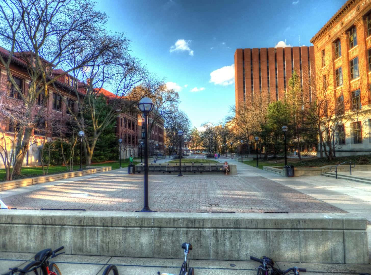 A Group Of Bicycles Parked In A Park Background