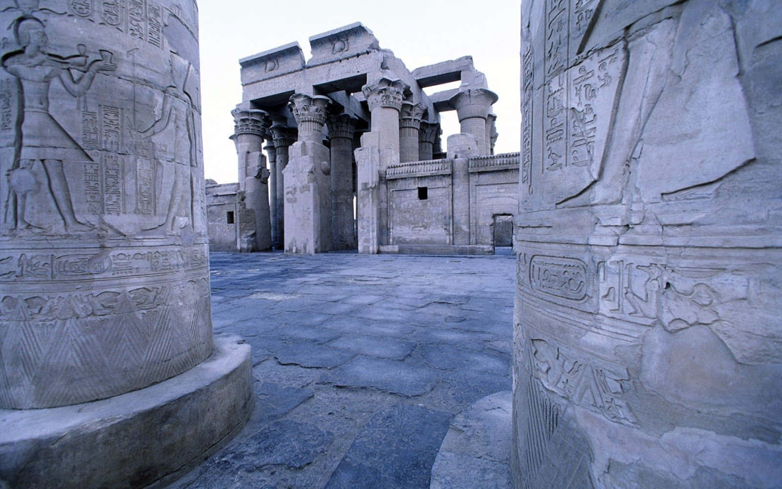 A Group Of Columns With Carvings In Them Background