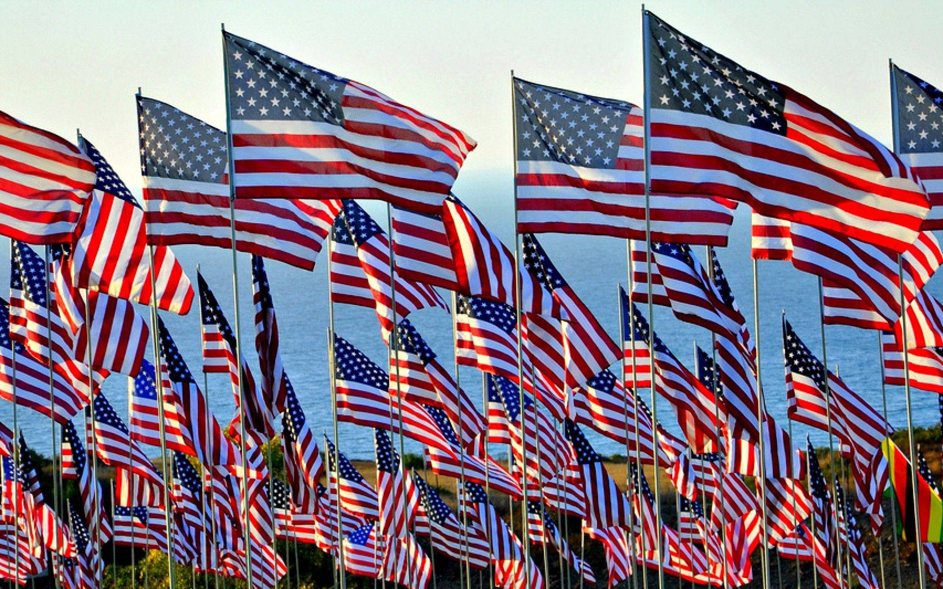 A Group Of Flags Background