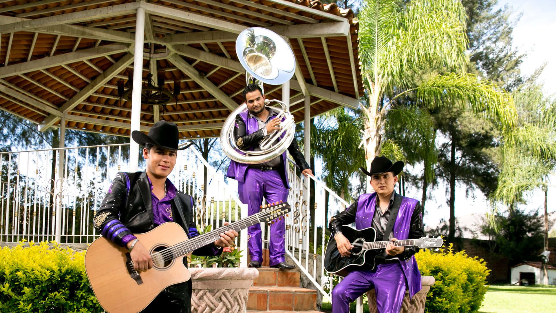 A Group Of Men In Purple Outfits Playing Instruments Background