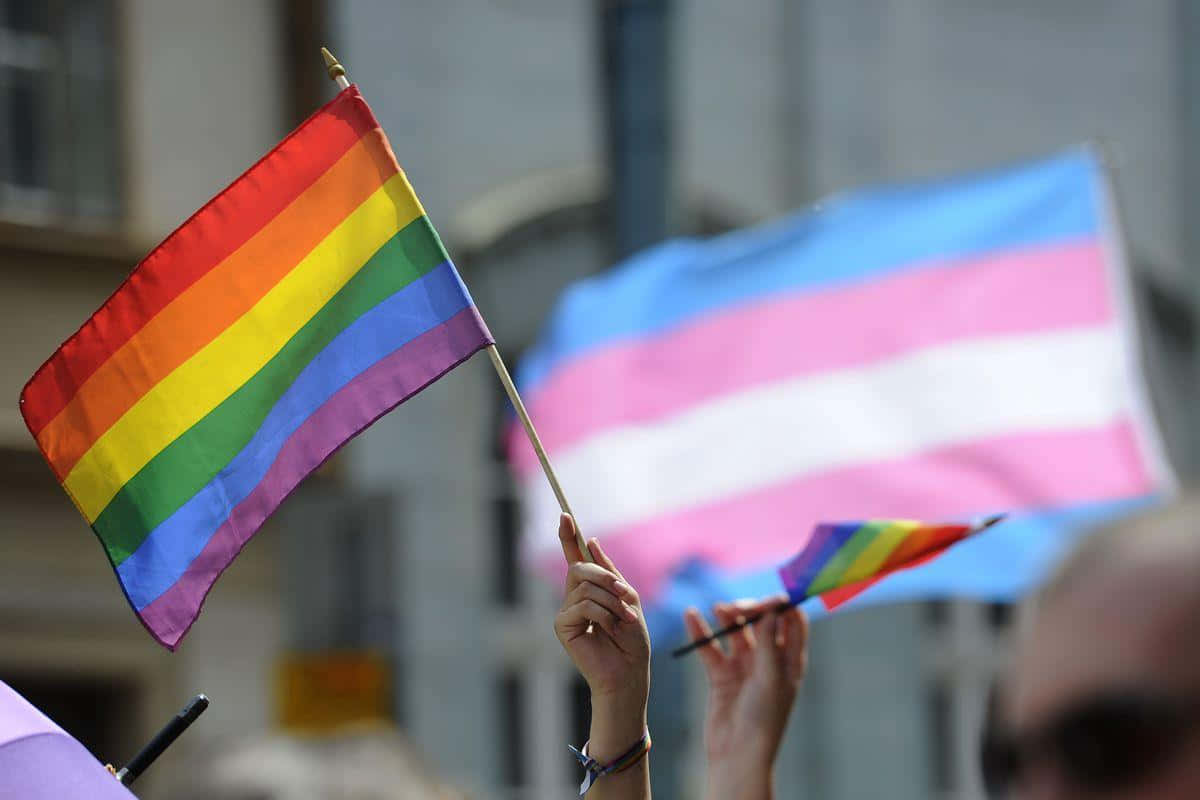 A Group Of People Holding Rainbow Flags In A Crowd