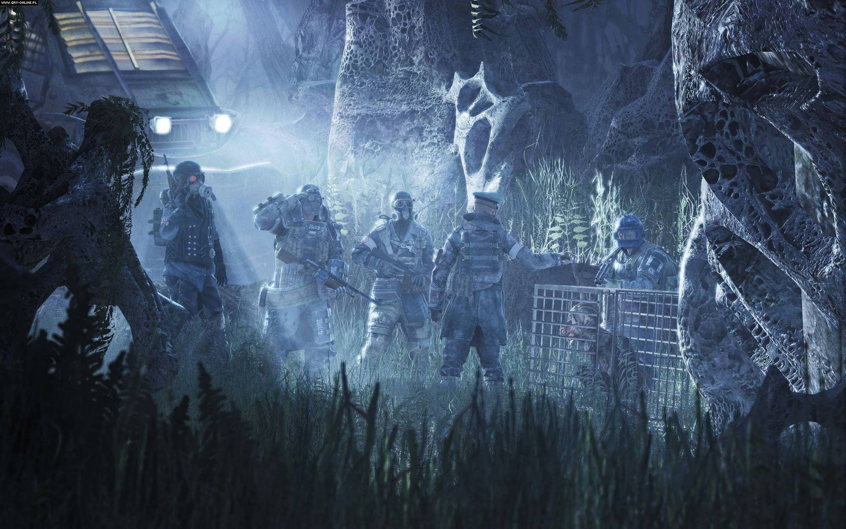 A Group Of People In A Dark Forest Background