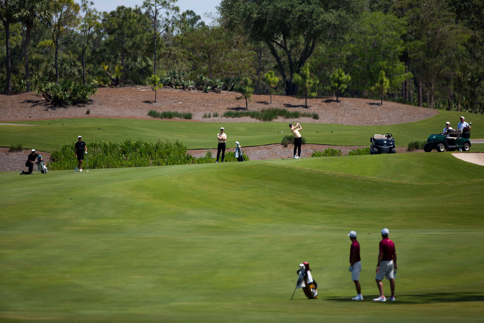 A Group Of People Playing Golf On A Green Field Background