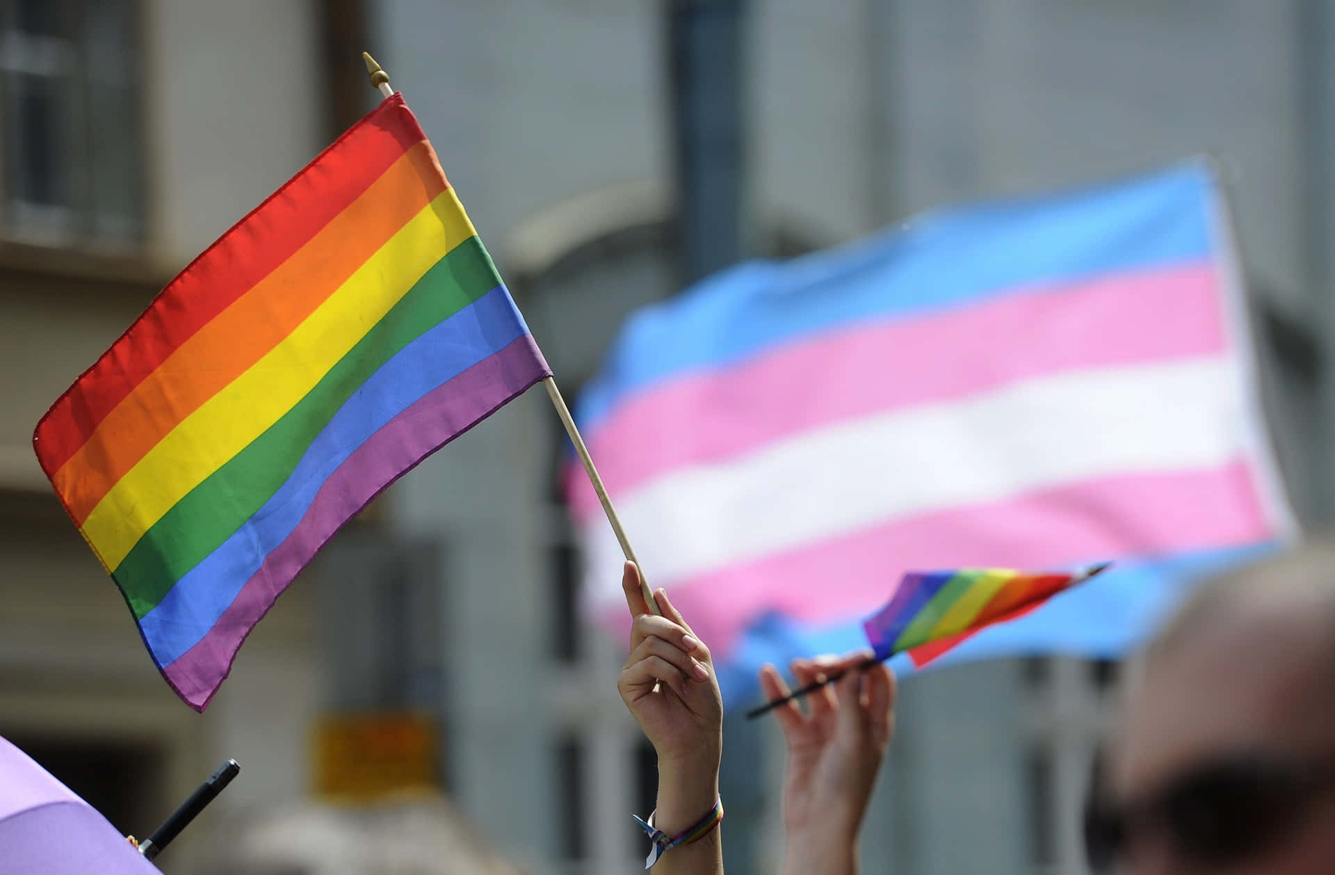 A Group Of People Waving Rainbow Flags In A Crowd