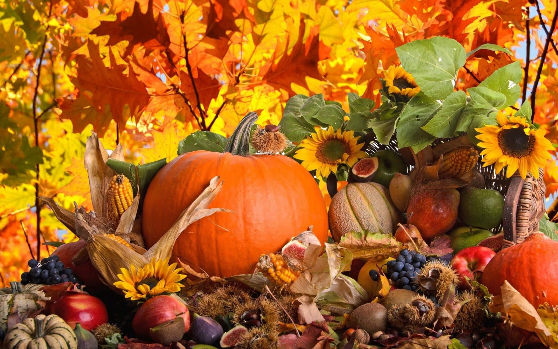 A Group Of Pumpkins, Sunflowers, And Other Fall Vegetables