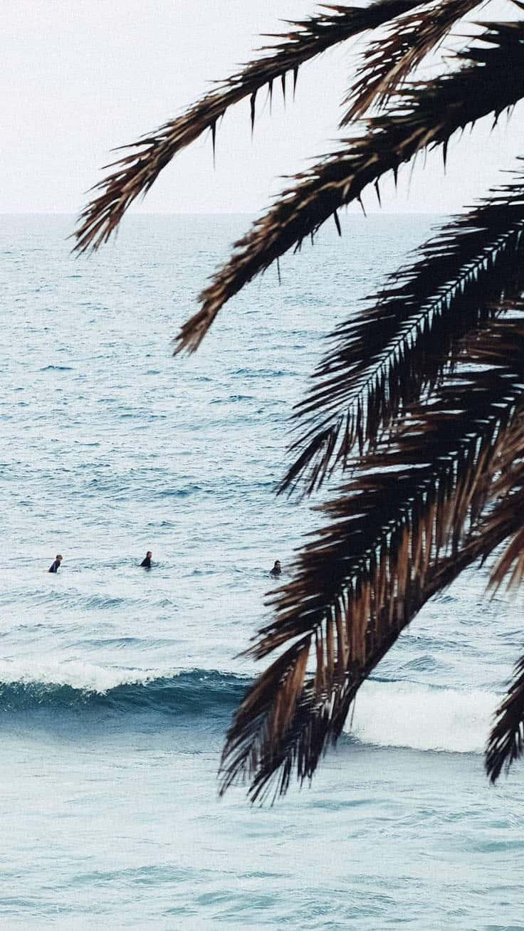 A Group Of Surfers Are In The Ocean Background