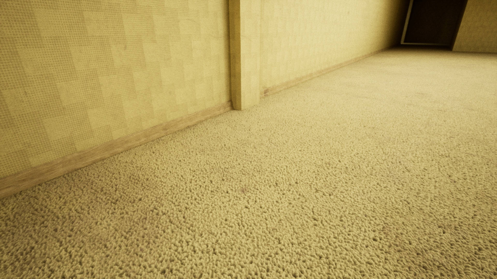 A Hallway With Carpet And A Door Background