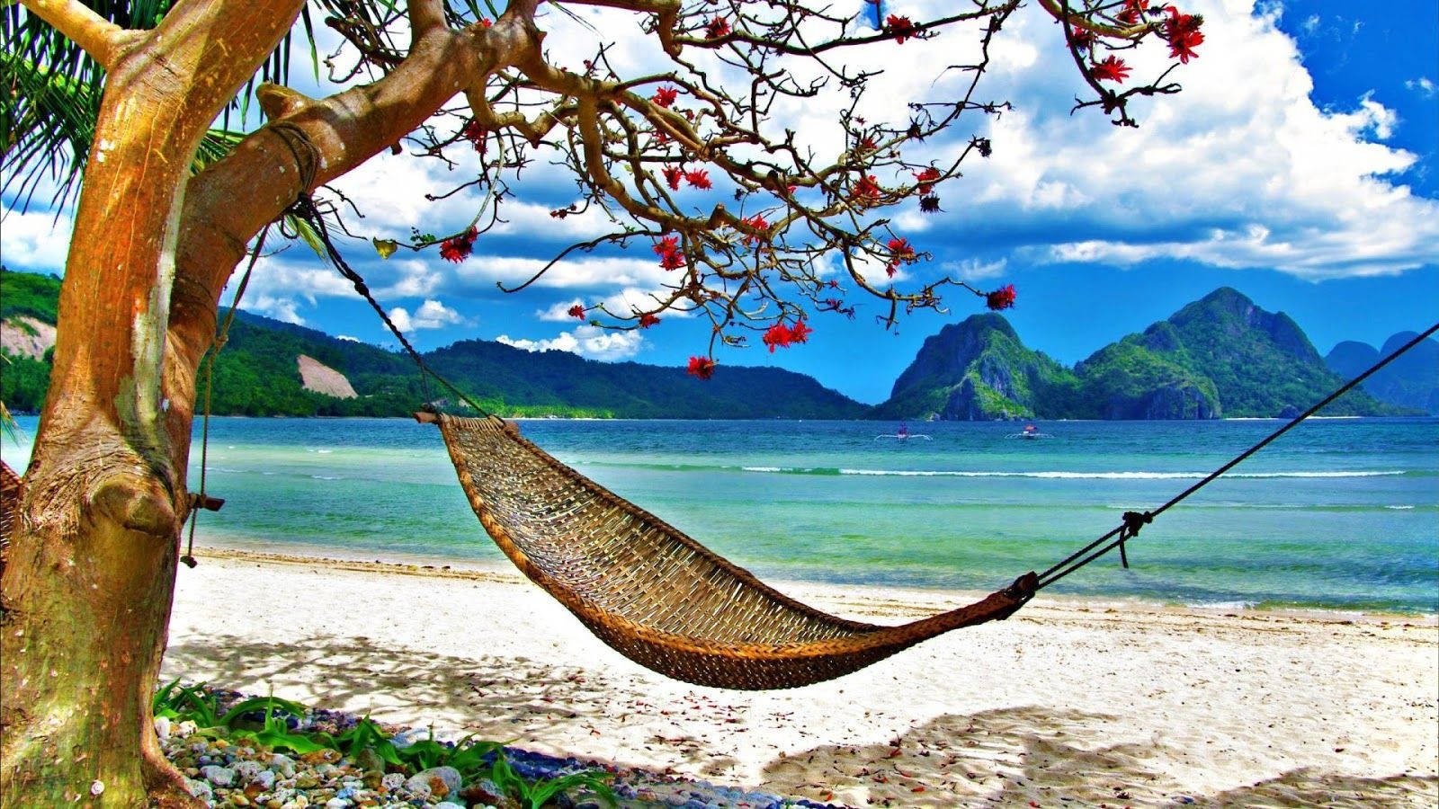 A Hammock Hanging On A Tree On A Beach Background
