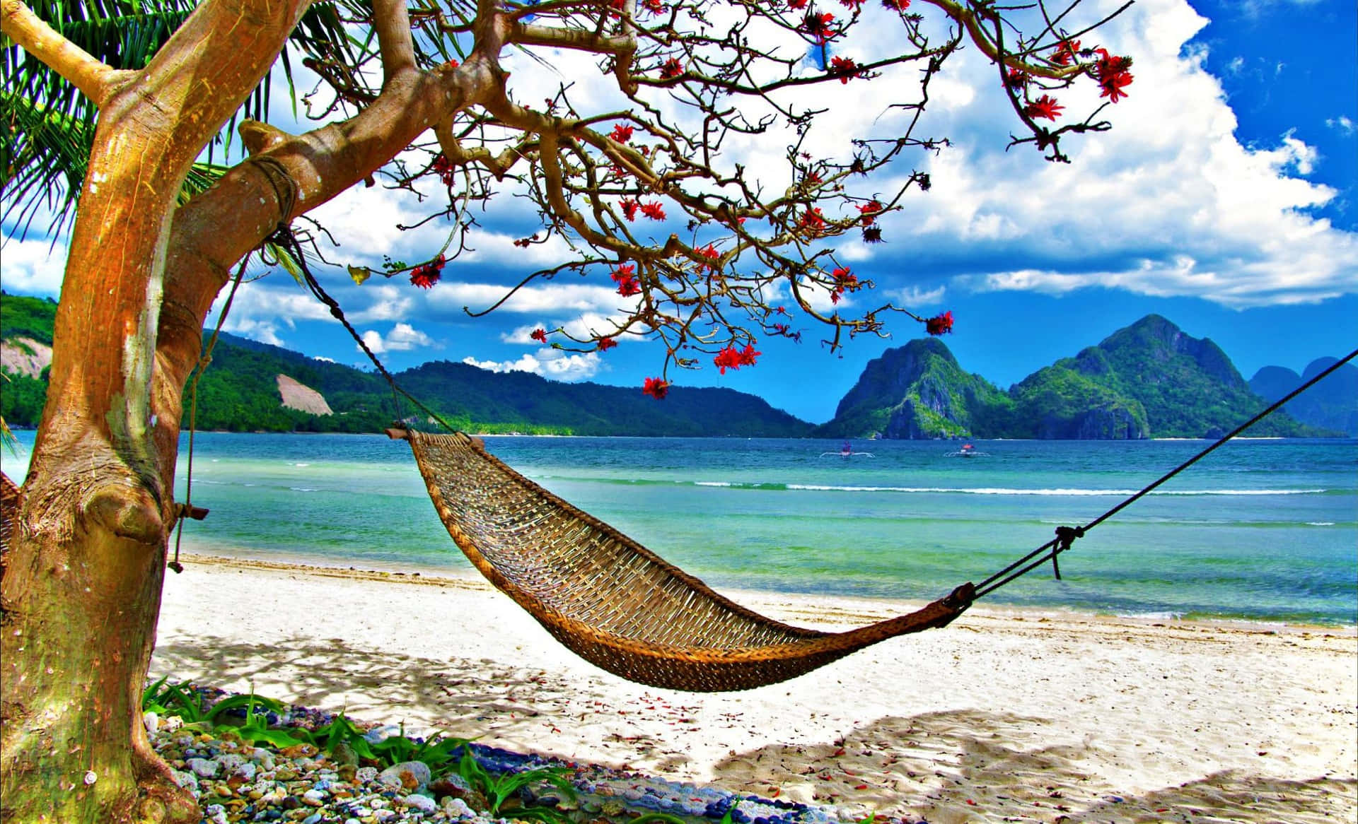 A Hammock Hanging On A Tree Background