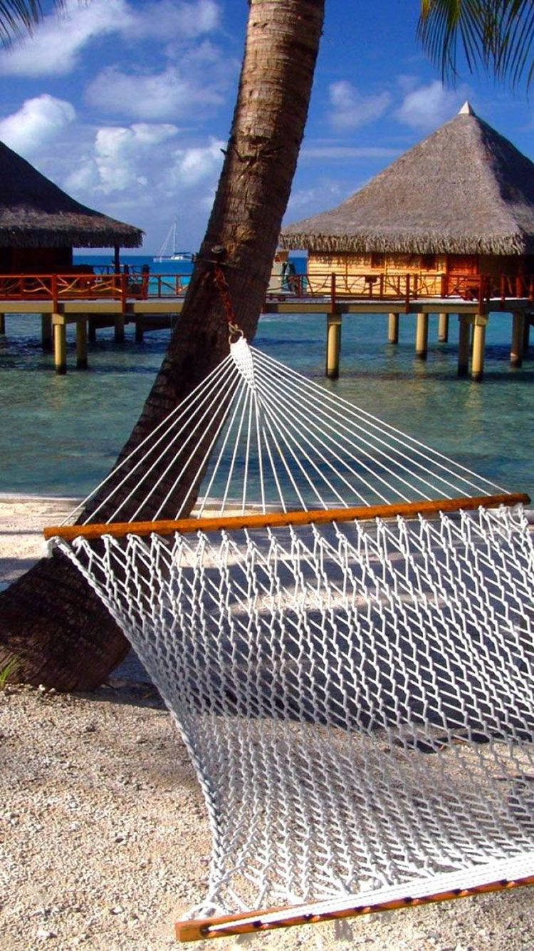 A Hammock Is Sitting On The Beach Near A Palm Tree Background