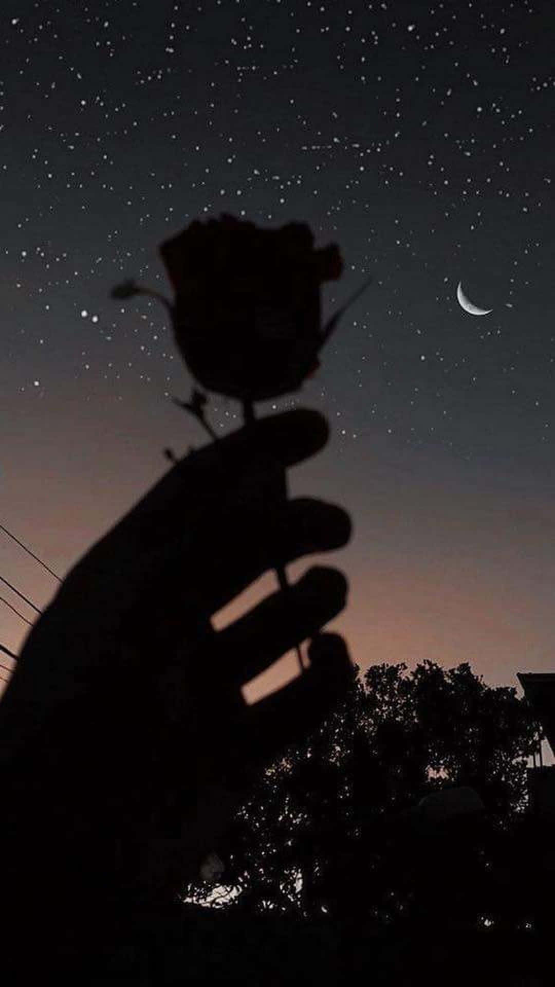 A Hand Holding A Rose In The Sky With The Moon And Stars