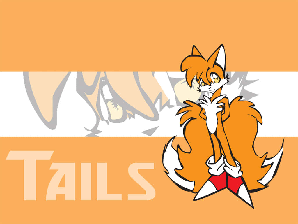 A Happy Fox With A Fluffy Orange Tail Background