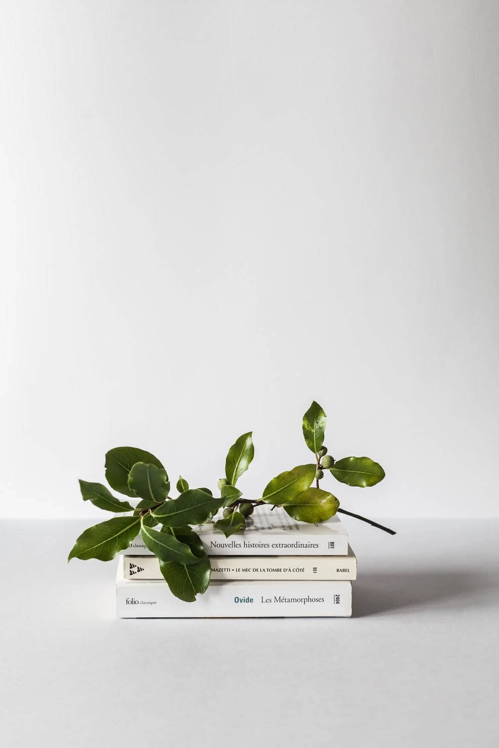 A Harmonious Blend Of Scholarly Tranquility - Green And White Aesthetic With Branches And Books Background