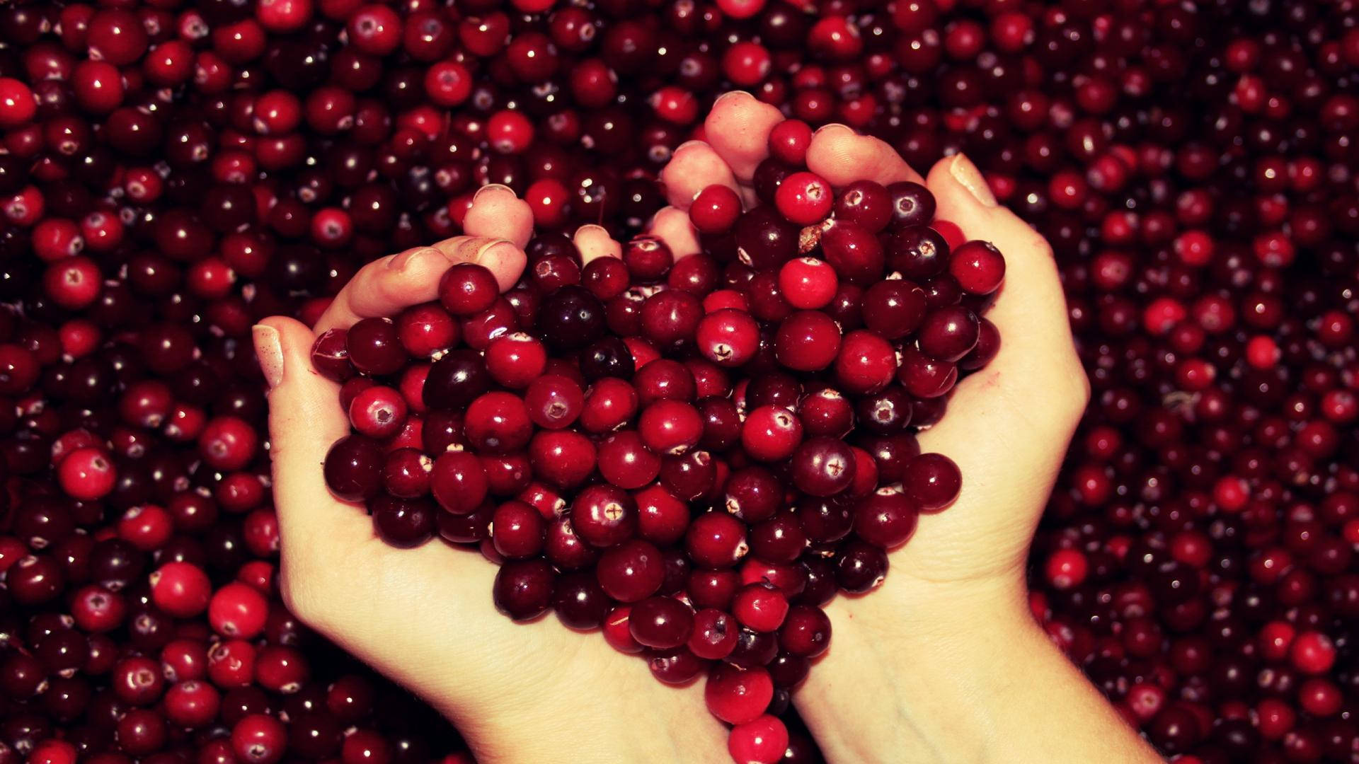 A Heart Handful Of Cranberries Background