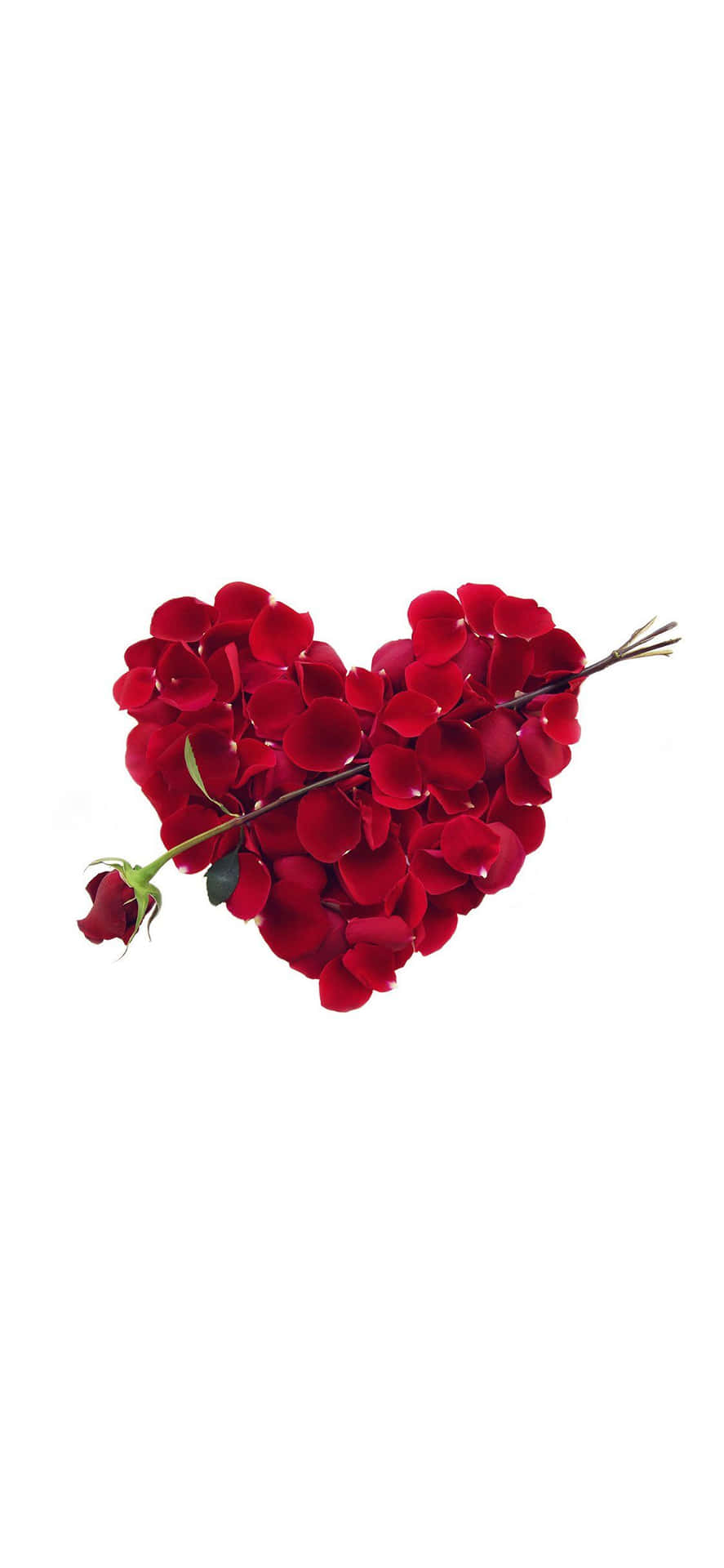 A Heart Shaped Arrangement Of Red Rose Petals Background