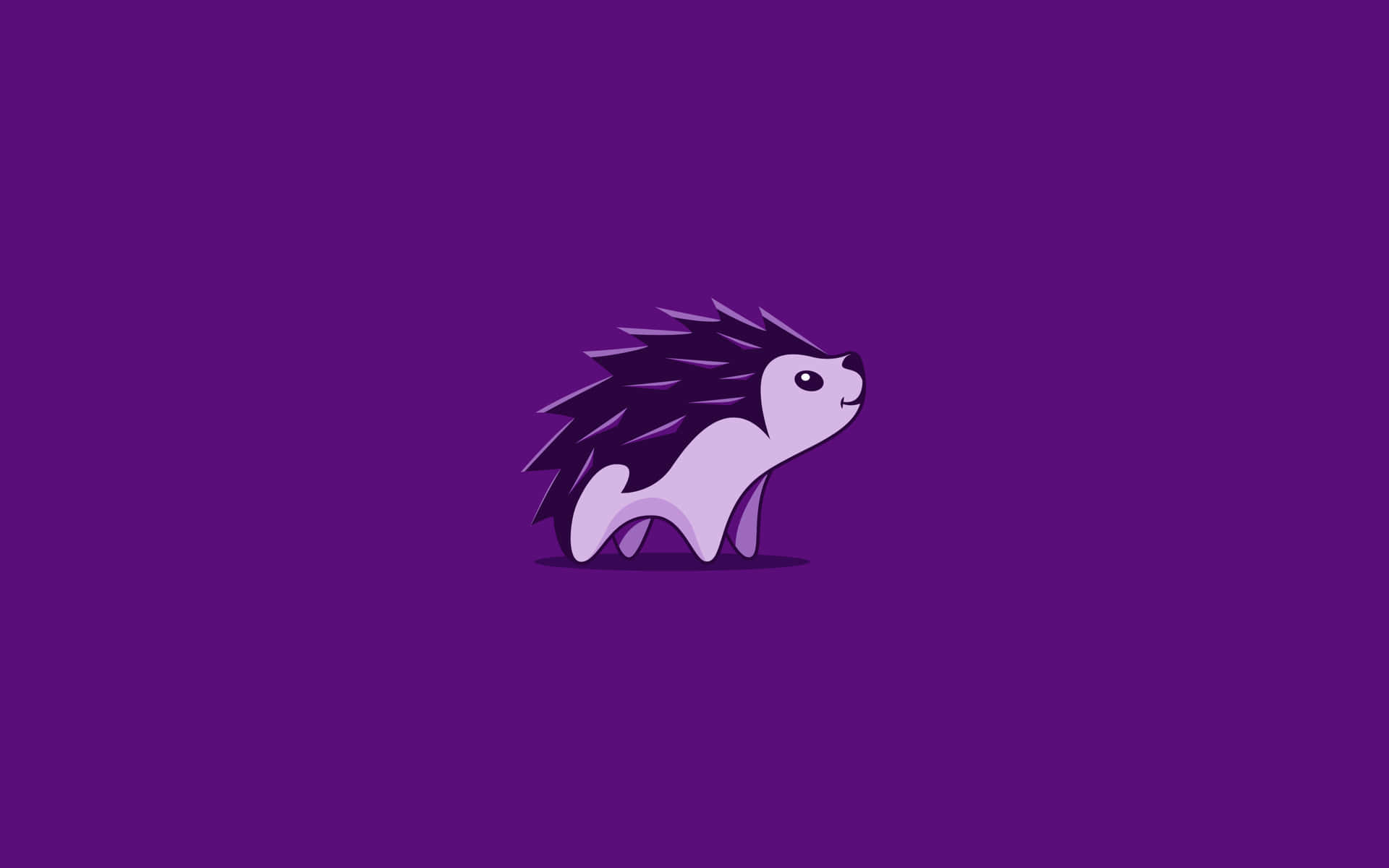 A Hedgehog On A Purple Background Background