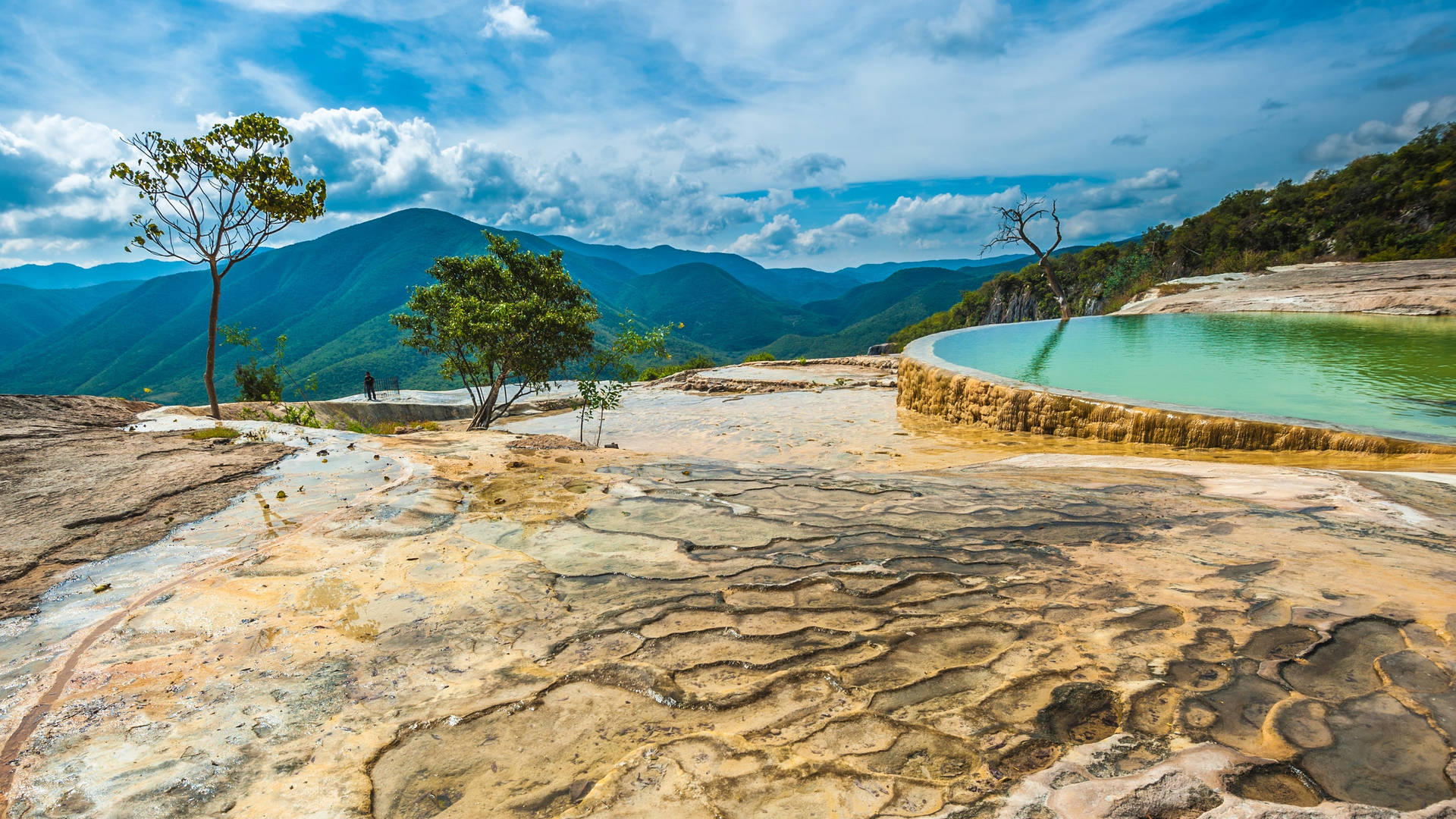 A Hilltop Pool In Oaxaca