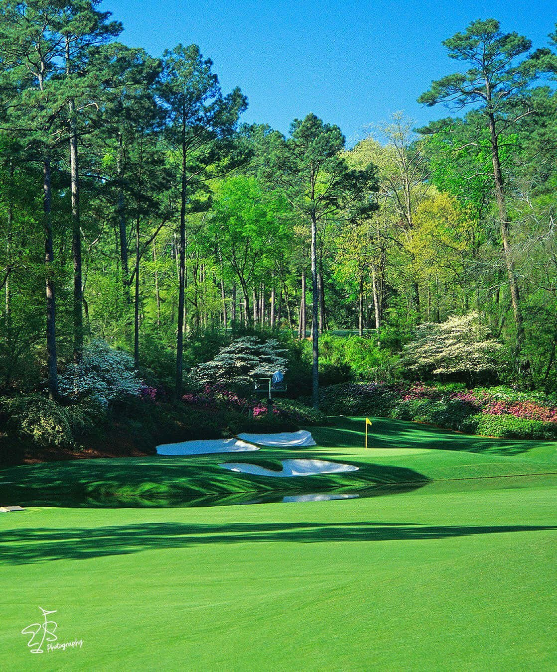 A Hole In One At Augusta National Background