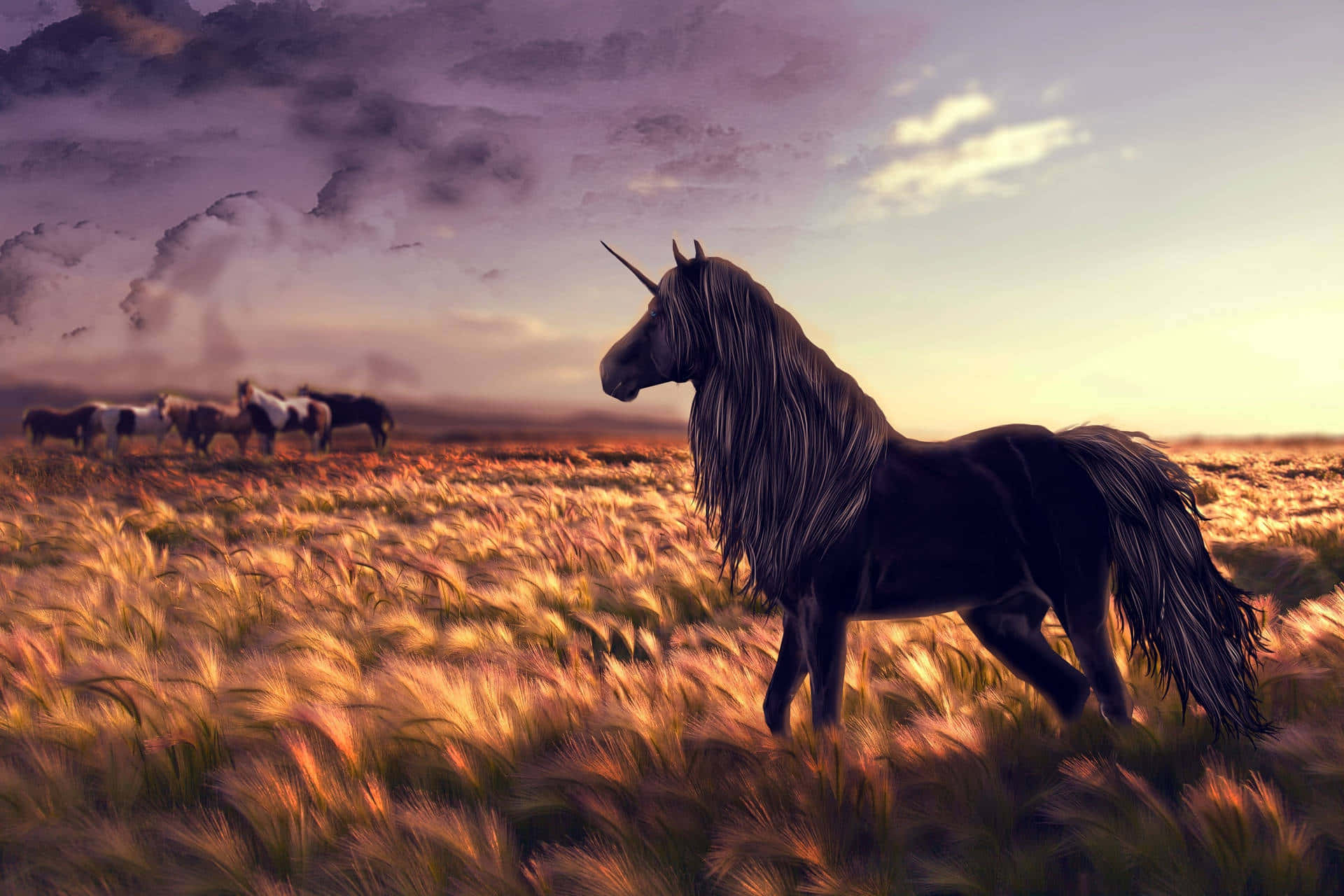 A Horse In A Field Background