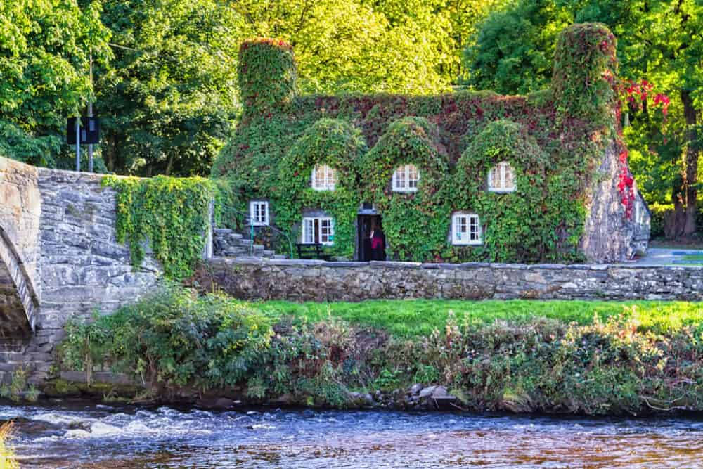 A House With Ivy Growing On It Next To A River