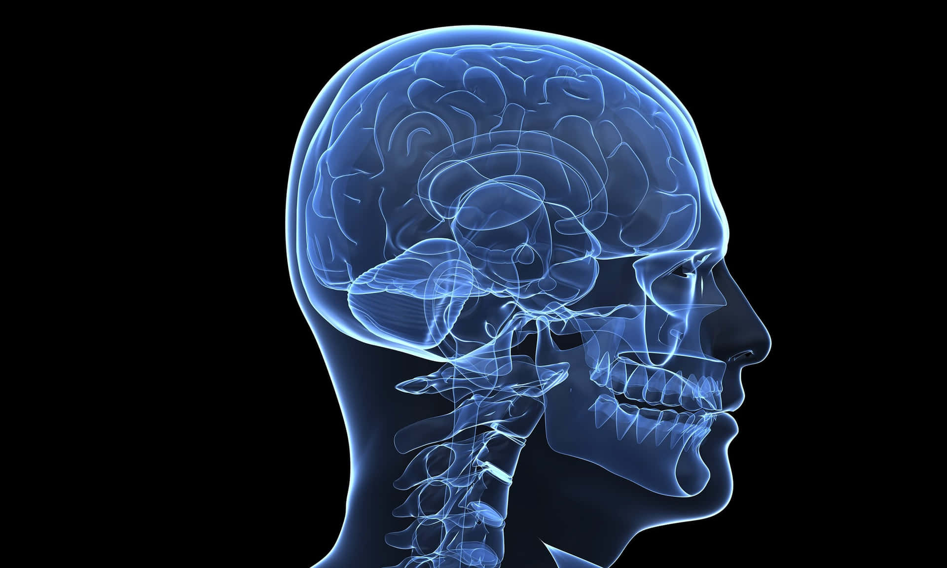 A Human Head With A Blue Background Background